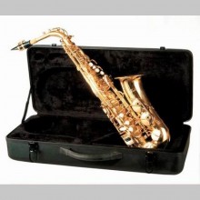 SAXOPHONE ALTO FRIEDRICH MULLER AL301