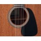 TAKAMINE GD11M NS