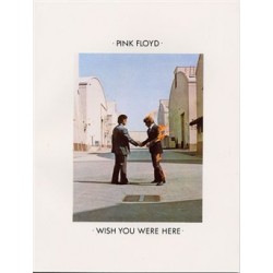 PINK FLOYD WISH YOU WERE HERE PVG
