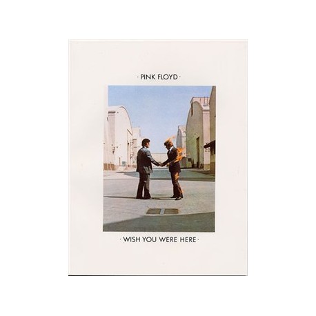 PINK FLOYD WISH YOU WERE HERE PVG