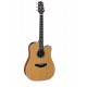 TAKAMINE GD20 CE NS