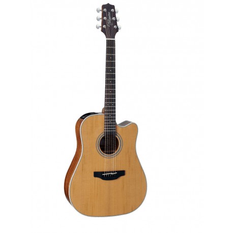 TAKAMINE GD20 CE NS