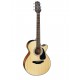 TAKAMINE GF30 CE NAT