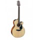 TAKAMINE GN30 CE NAT