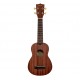 KALA UKULELE MAKALA SOPRANO EN AGATHIS VERNIS SATINE