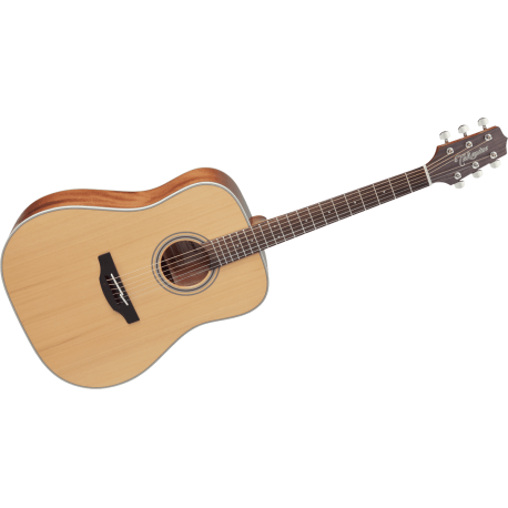 Takamine GD20NS