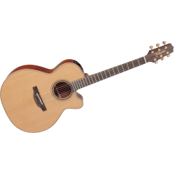 TAKAMINE P3NC