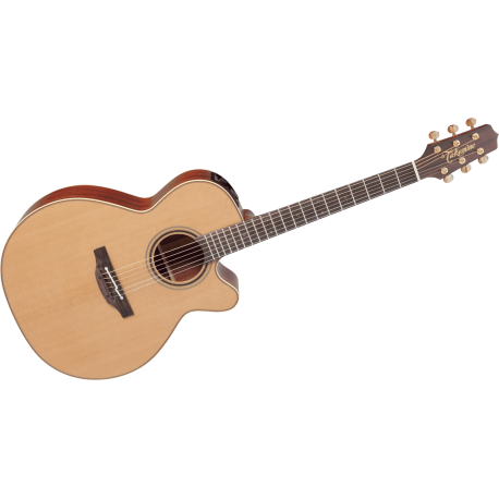 TAKAMINE P3NC