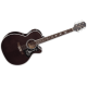 TAKAMINE GN75CETBK