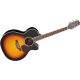 TAKAMINE GN71 CE BSB