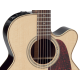 TAKAMINE P5NC