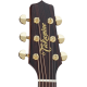 TAKAMINE P5NC