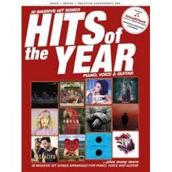 HITS OF THE YEAR PVG