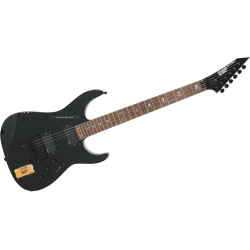 ESP KH2V KIRK HAMMETT CUSTOM SHOP