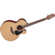 TAKAMINE P1NC