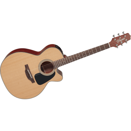 TAKAMINE P1NC