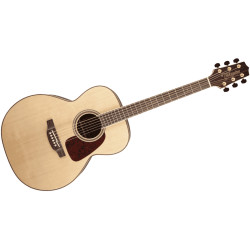 TAKAMINE GN93 NAT