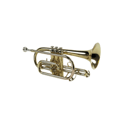 CORNET SML CO50