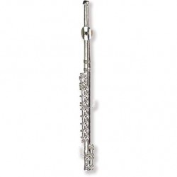 Flute magnetic