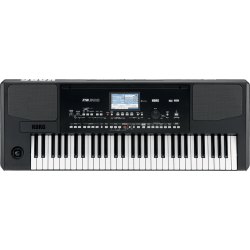 KORG PA300