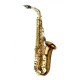 YANAGISAWA SAXOPHONE ALTO A-WO20