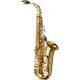 YANAGISAWA SAXOPHONE ALTO A-WO10UL ELITE LAITON NON VERNI