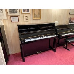 PIANO SEILER 118