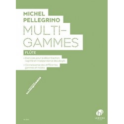 Michel Pellegrino Multi-Gammes flute traversiere