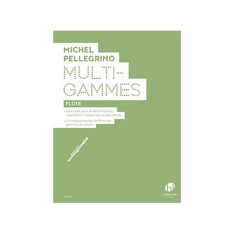 Michel Pellegrino Multi-Gammes flute traversiere