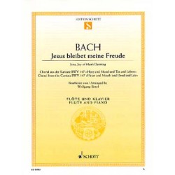 J-S BACH : JESUS BLEIBET MEINE FREUDE