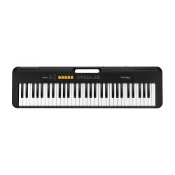 CASIO CT S100