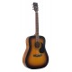 CORT AD810 SUNBURST