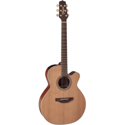 TAKAMINE EN40C ELECTRO