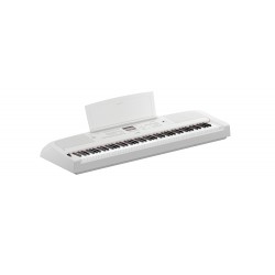 Casio CT-S1 - Clavier électronique - 61 touches - 64 notes polyphonie -  blanc - Clavier arrangeur