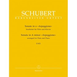 SCHUBERT Sonate Arpeggione en LA mineur flute traversiere