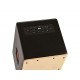 MEINL MINI ENCEINTE CAJON PRE-AMPLIFIE