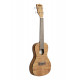 UKULELE KALA TRAVEL CONCERT EXOTIC MAHOGANY HOUSSE DELUXE