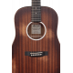 MARTIN & CO DREADNOUGHT JUNIOR 10E STREETMASTER