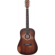 MARTIN & CO DREADNOUGHT JUNIOR 10E STREETMASTER