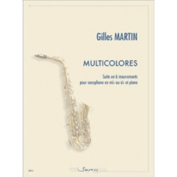Gilles Martin Multicolores