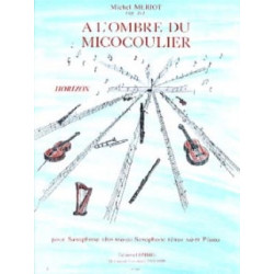 Michel Meriot A L' Ombre du Micocoulier