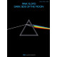 PINK FLOYD DARK SIDE OF THE MOON PVG