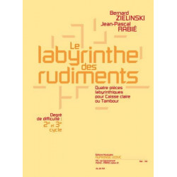 Zielinski Bernard / Rabié Jean-Pascal Le Labyrinthe Des Rudiments