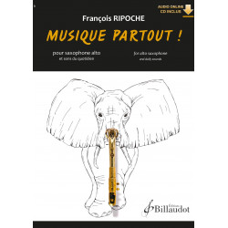 François Ripoche Musique Partout !