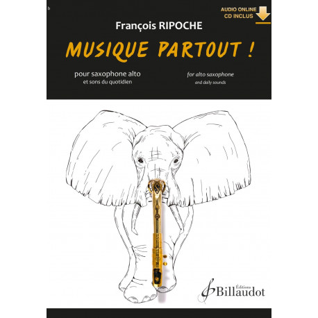 François Ripoche Musique Partout !