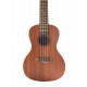 KALA CONCERT MAHOGANY LEARN TO PLAY