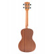 KALA CONCERT MAHOGANY LEARN TO PLAY