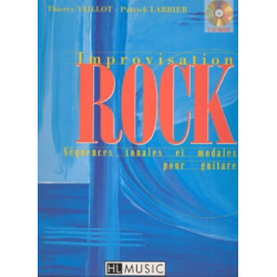 Vaillot Thierry / Larbier Patrick Improvisation rock