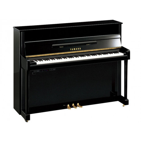 YAMAHA b2 TRANSACOUSTIC TC3