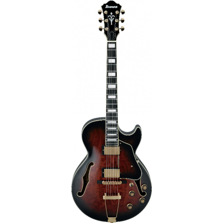 AG95-DBS Artcore Expressionist - dark brown sunburst